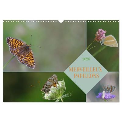 Merveilleux papillons (Calendrier mural 2026 DIN A3 vertical), CALVENDO calendrier mensuel