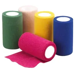 ASKINA Haftbinde Color Sortimentsbox 10 St Binden