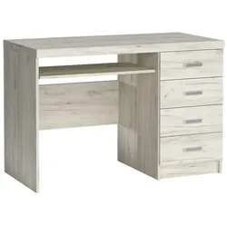 SCHREIBTISCH ZERI 120x60x81,5 cm Bürotisch Computertisch, Eiche Bianco