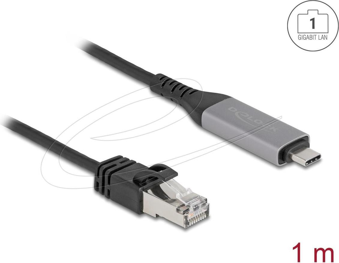 Delock USB Type-C naar RJ45 Gigabit Ethernet USB LAN-kabel, 1 meter