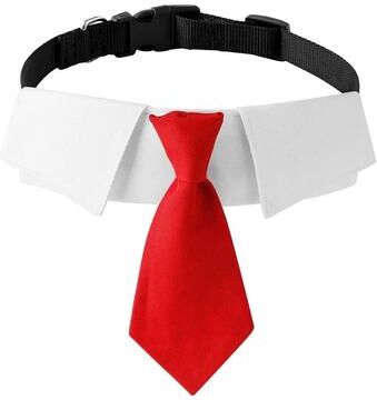 Uplift Essentials Formal Pet Necktie Collar Elegant Wedding & Business Suit Accessory red s