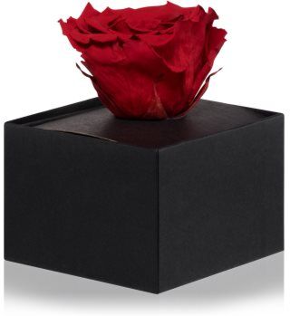 RoseAmor Red rosa estabilizada em caixa 1 un.. Red
