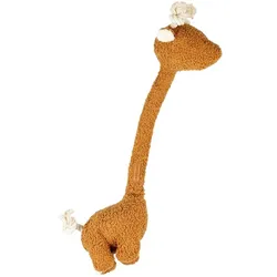 D&D Plüschspielzeug für Hunde George im Teddy-Look (Plüschspielzeug Hund), Hundespielzeug