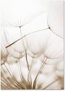 Inspire Curations Nordic Beach Dandelion Canvas Wall Art Minimalist Coastal Home Decor 3 40x50cm