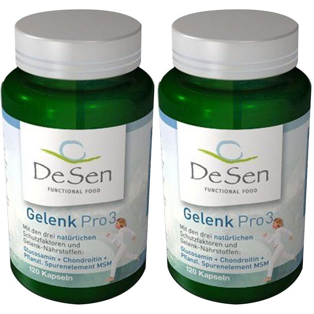 Glucosamin+Chondroitin+Msm Kapseln 2x 2x120 St