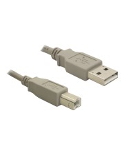 Delock USB-Kabel USB M bis Typ B M 2.0 3 m (82216)