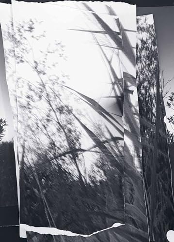 Berit Schneidereit - walks, conversations: Berit Schneidereit - Preis vom 02.10.2026 23:42:20 h
