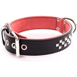 Vivog Clou (45, Hund, Spazieren), Halsband + Leine