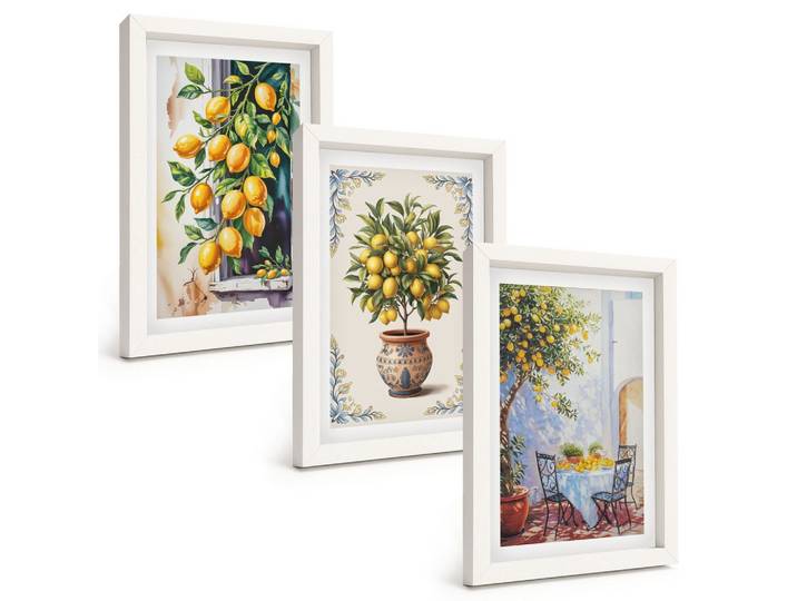 BILDER SET 3er Set - 20x30 cm Weißer Rahmen - Zitronenbäume Früchte Sonne