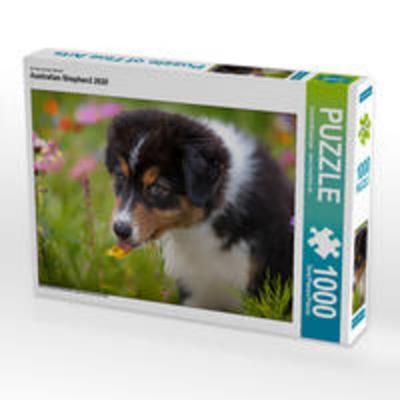 CALVENDO Puzzle Australian Shepherd 2020 1000 Teile Lege-Größe 64 x 48 cm Foto-Puzzle Bild von Annett Mirsberger www.tierpfoto.de