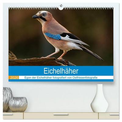 Eichelhäher - Egon der Eichelhäher fotografiert von Ostfriesenfotografie (hochwertiger Premium Wandkalender 2026 DIN A2 quer), Kunstdruck in Hochglanz