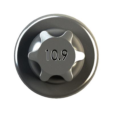 IPSA Pleuelschraube cob00900 für Iveco BMC