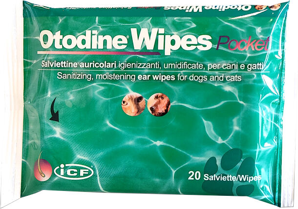 Otodine Wipes Pocket 20