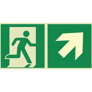 Abtec Hinweisschild ISO 7010 E002+E006 Aluminium, 30 x 15 cm, nachleuchtend, Notausgang rechts oben