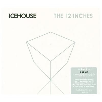 The 12' Mixes Vol. 1 - Icehouse, CD, 4009910117026
