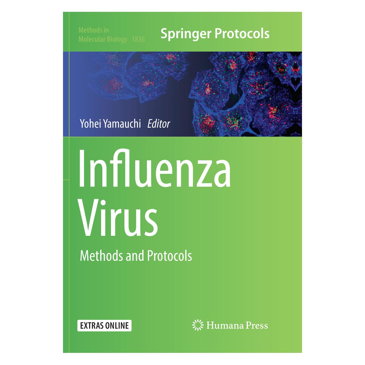 Springer Influenza Virus (Englisch, Softcover, Yohei Yamauchi) (56092916)