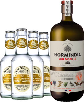 Gin + 4er Pack Tonics Fentimans - 1.5L