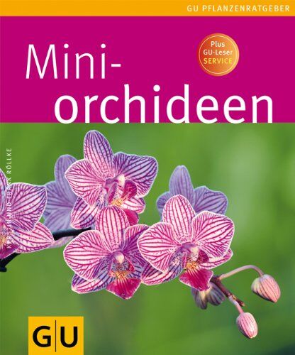 Kerstin Röllke - Mini-Orchideen (Pflanzenratgeber) - Preis vom 12.10.2026 11:37:12 h