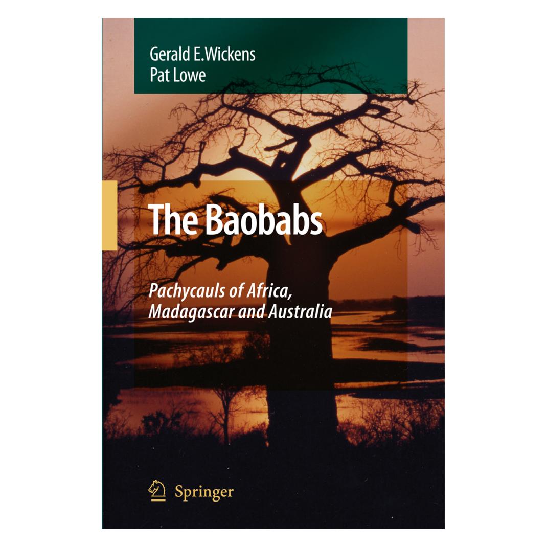 Springer The Baobabs: Pachycauls of Africa, Madagascar and Australia (Englisch, Softcover, G. E. Wickens) (55378741)