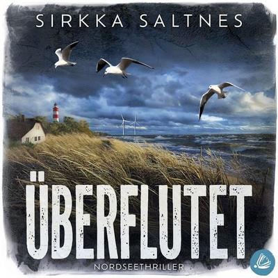 Überflutet - Sirkka Saltnes, Audio, 4071498515655