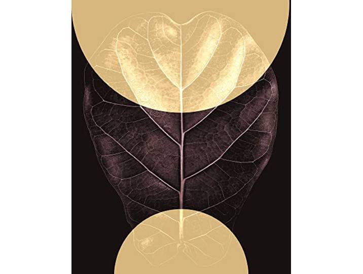 Komar Wandbild - Shadow Theatre - Größe: 40 x 50 cm - Poster, Kunstdruck, Dekoration, Wohnzimmer, Schlafzimmer