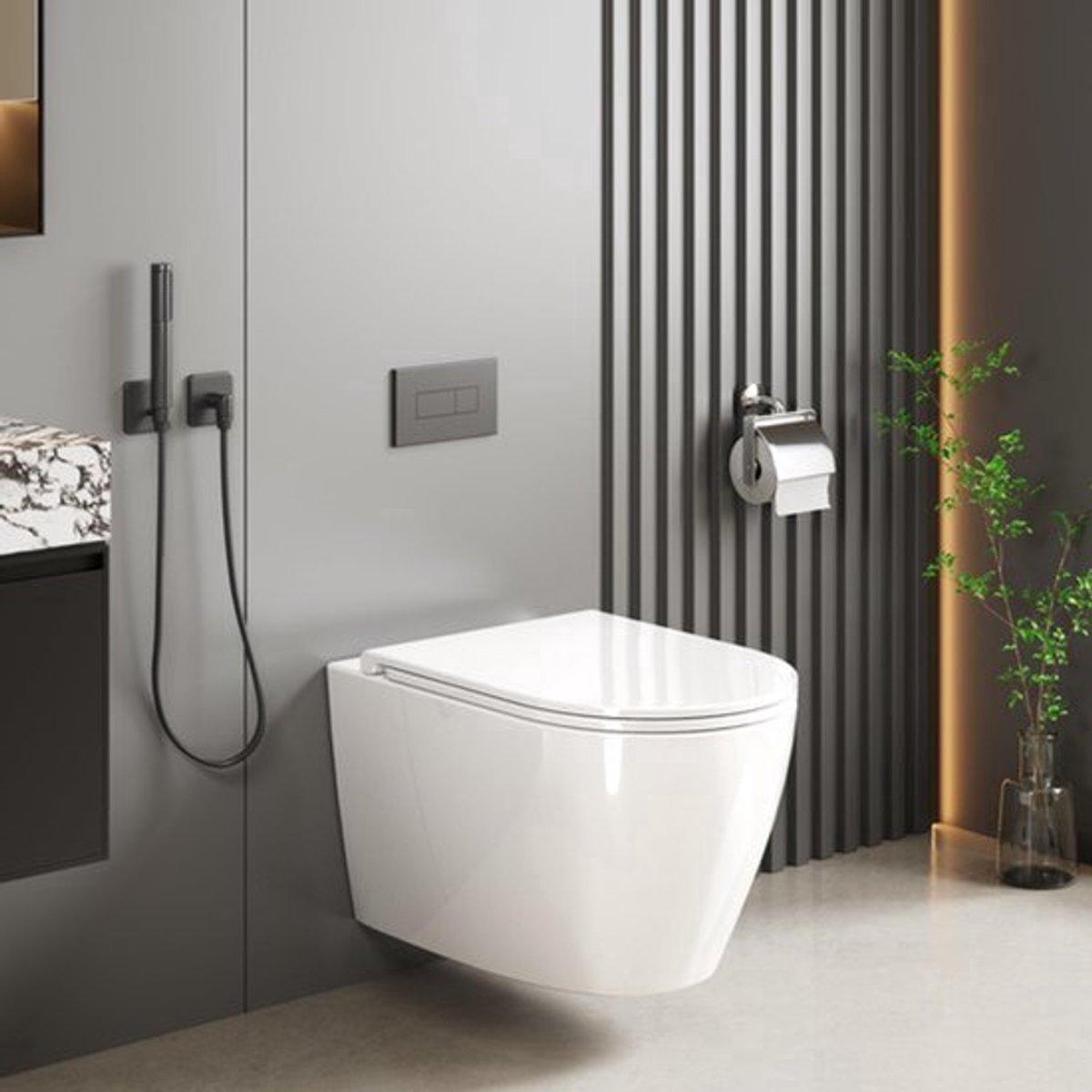 Toilettenschüssel, randlos, wandhängend - Modell mit Soft-Close-Deckel - Modern und hygienisch