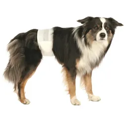 Trixie Rüdenwindeln M-L 46-60 cm | 12 Stück Hundewindeln