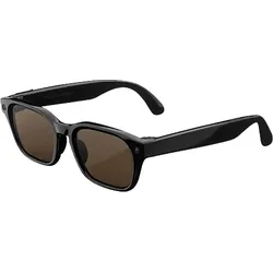 META Meta Adventurer, Klassisches Schwarz, Gläser: Braun AI Glasses