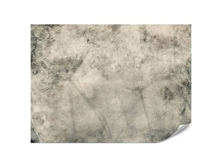 FOTOTAPETE Löwenzahnsamen Beton Vintage Stil 200x140