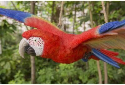Hi-Line Gift Ltd. Scarlet Parrot Flying Statue