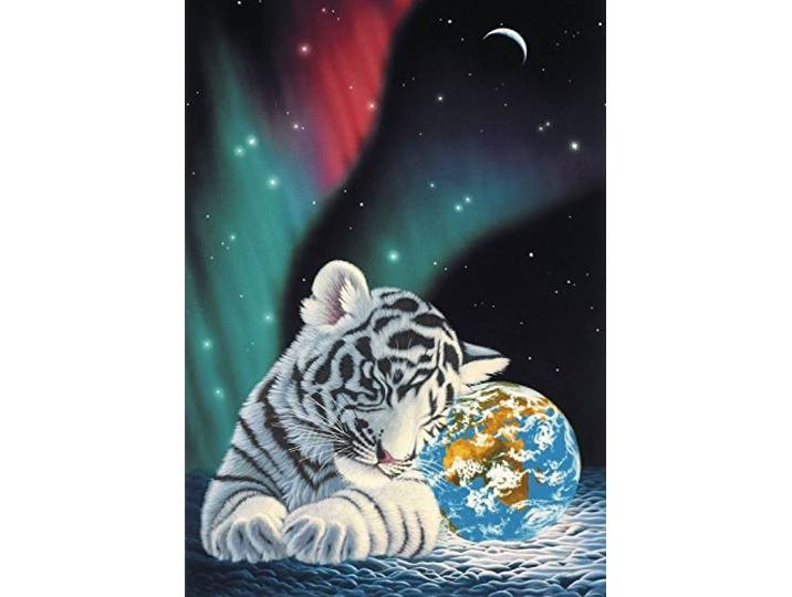 Grafika Schim Schimmel - Earth Lights