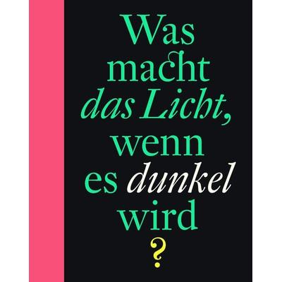 Was macht das Licht, wenn es dunkel wird?, Gebundene Ausgabe von Bette Westera, Rieder, Susanna, 978-3-946100-84-3