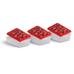 Pro Home Frischhaltedosen 1,25L - Erdbeere - 20x13cm ( 3er Pack )
