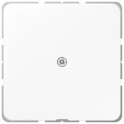 Jung Leitungsauslass aws CD 590 A WW