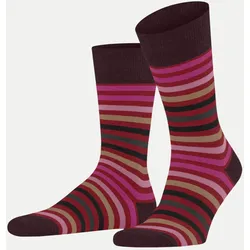 Socken Tinted Stripe Mehrfarbig 39-42
