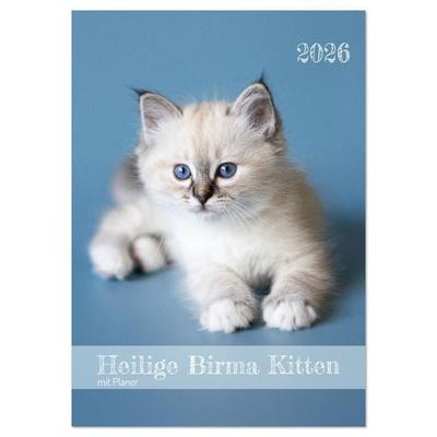 Heilige Birma Kitten Kalender mit Planer (Wandkalender 2026 DIN A3 hoch), CALVENDO Monatskalender