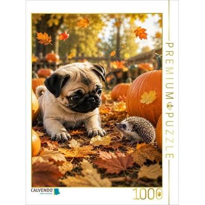 CALVENDO Puzzle Ein stacheliger Freund | 1000 Teile Lege-Größe 64x48cm Foto-Puzzle für glückliche Stunden
