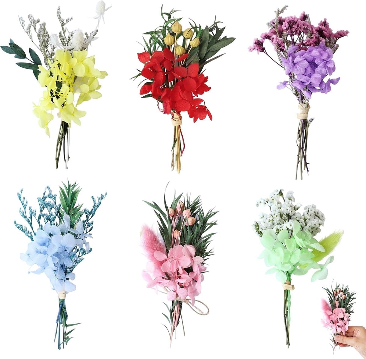 Set van 6 natuurlijke gedroogde hortensia's voor decoratie en handwerk