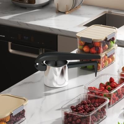 Manueller Entsafter aus Edelstahl 316, hocheffizienter Entsafter für Obst und Gemüse, professionelles Küchengerät