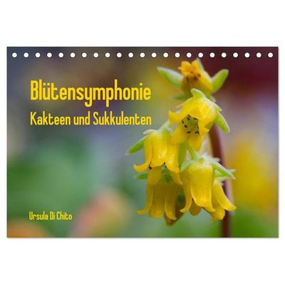 Blütensymphonie - Kakteen und Sukkulenten (Tischkalender 2027 DIN A5 quer), CALVENDO Monatskalender