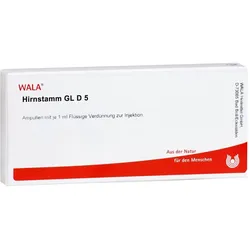 Hirnstamm Gl D 5