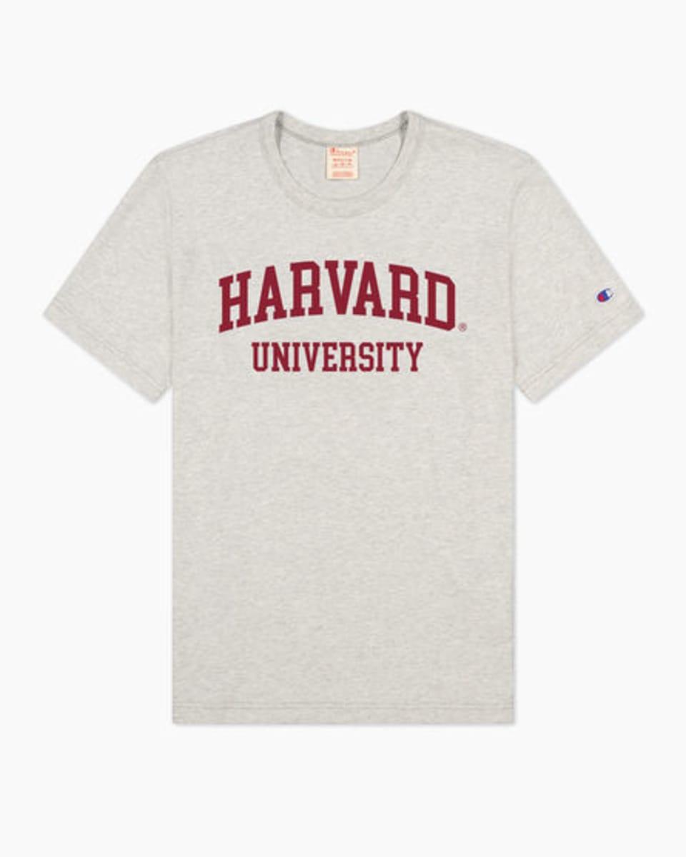 Champion Crewneck T-Shirt in Grau