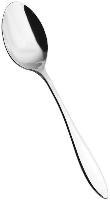 Salvinelli Cucchiaio Tavola Galileo