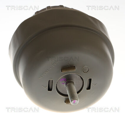 Triscan Lagerung, Motor 850529197 Für Audi