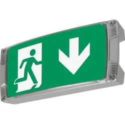 Ceag Notlichtsysteme Rettungszeichenleuchte LED S CG-S