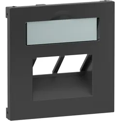 Legrand 765459 SEANO Abdeckung 2x RJ45 f Datendosen Fremdfabrikate Anthrazit