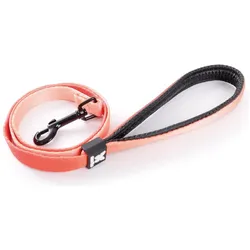 Martin Sellier XS (XS, Hund, Allgemein, Spazieren), Halsband + Leine