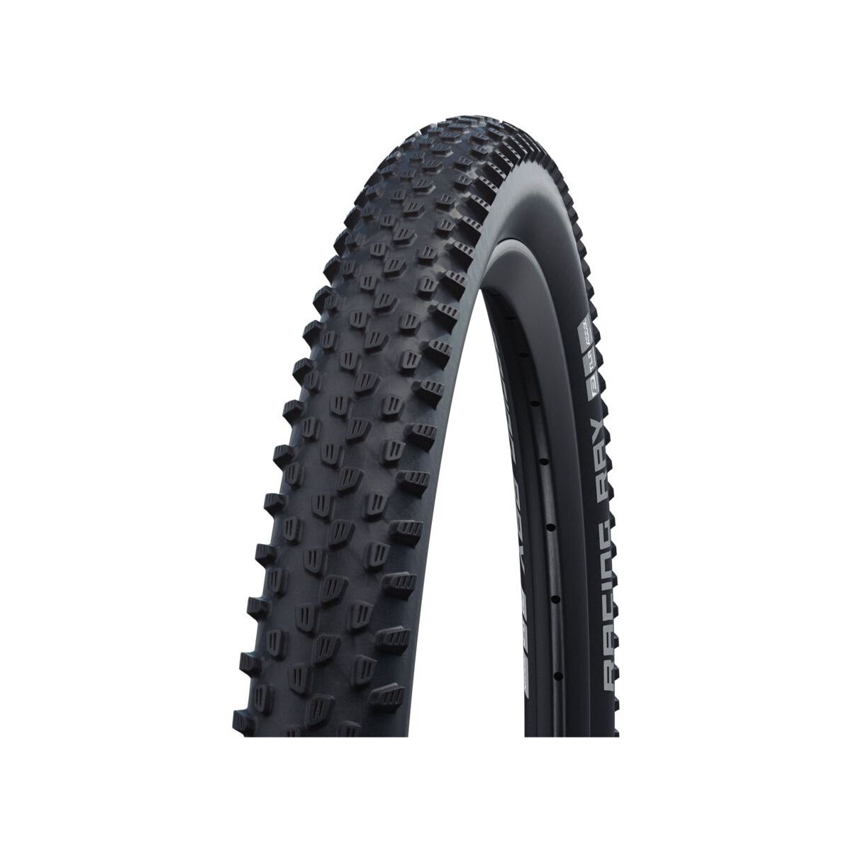 Schwalbe Racing RAY Performance schwarz 57-584 SB11601112