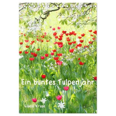 Ein buntes Tulpenjahr (Tischkalender 2026 DIN A5 hoch), CALVENDO Monatskalender