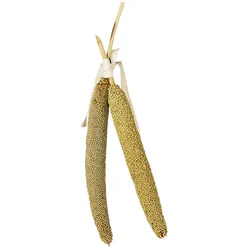 JR FARM Birds Perlhirse 40g Vogelsnack